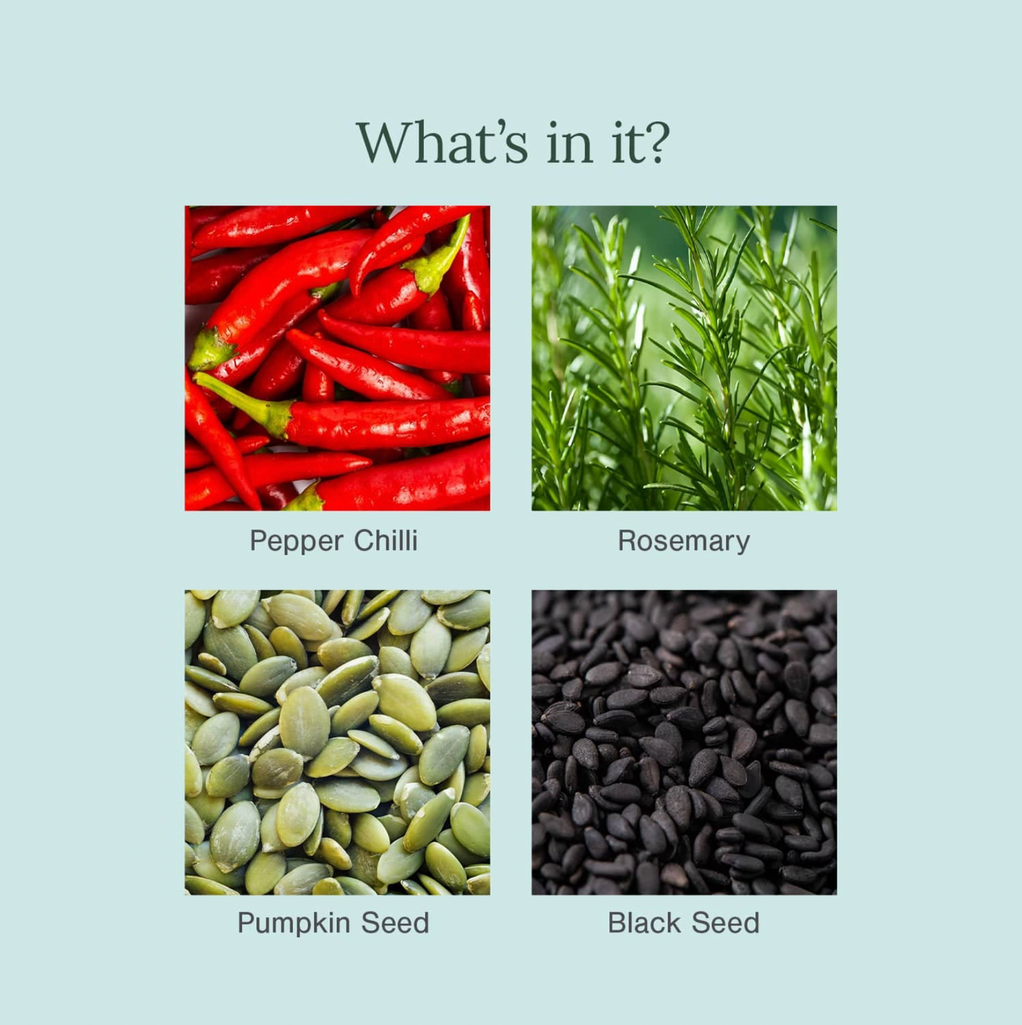 Chilli, Horsetail and Black Seed Hair Growth Oil