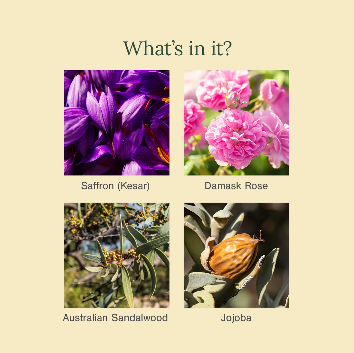 Saffron, Rose and Australian Sandalwood Face Srub