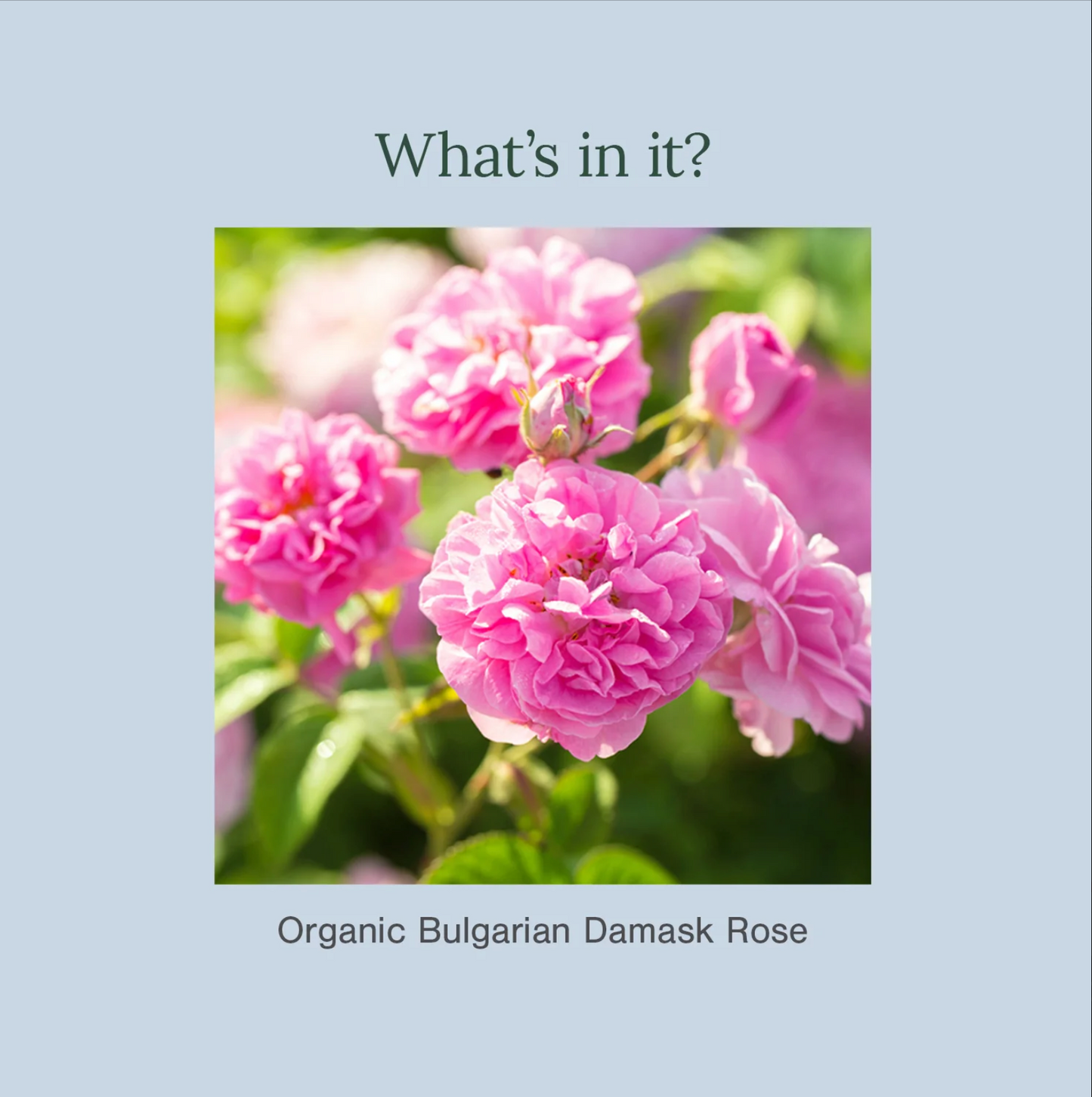 Bulgarian Rose Water (Hydrosol)